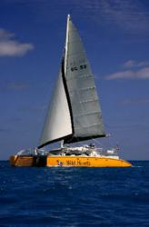 Wild Heart Sailing